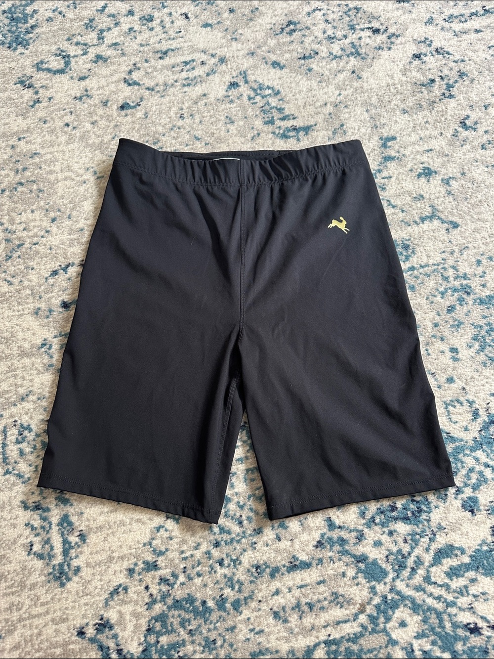 Tracksmith Allston Long Shorts